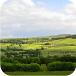 Views from Coquet View